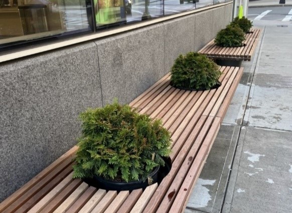 plants in benches on blackfan