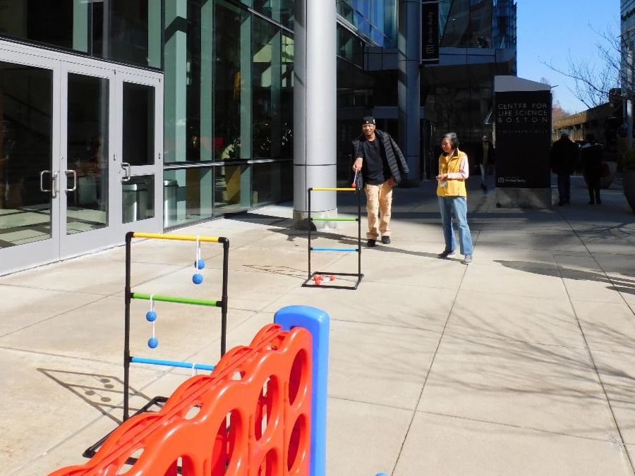ladder golf