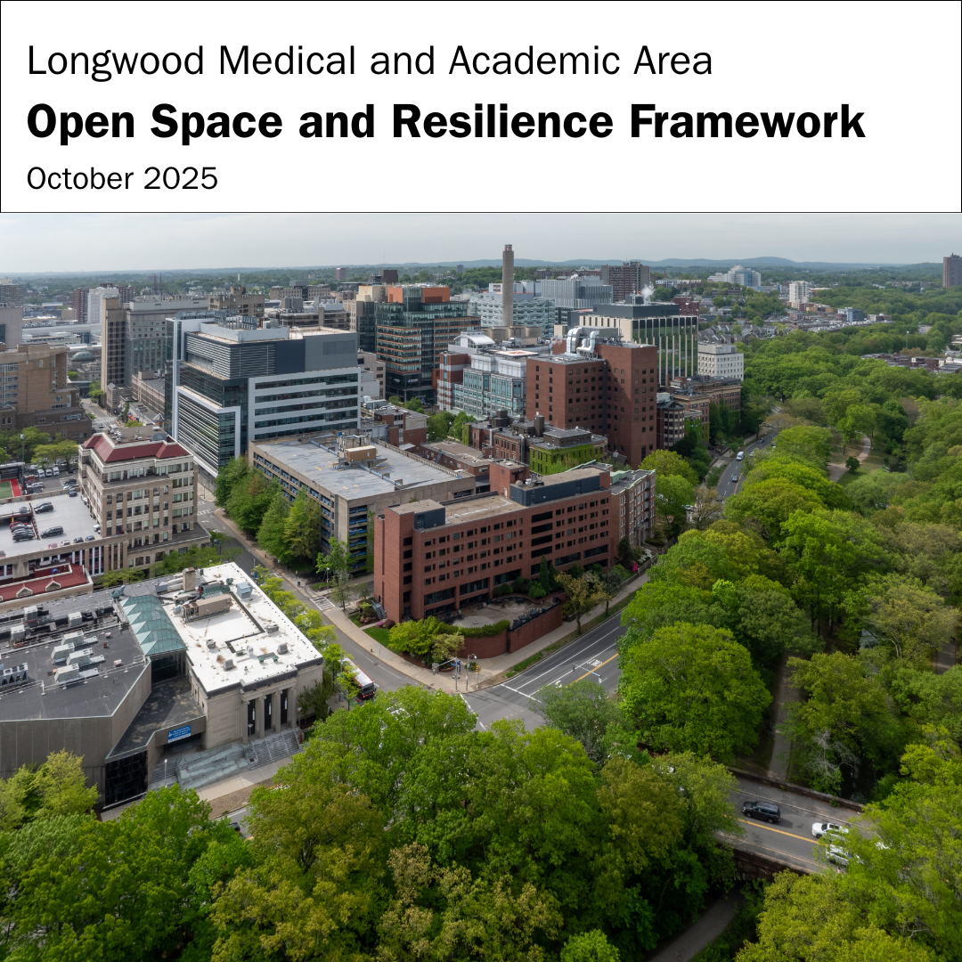cover of the open space framework