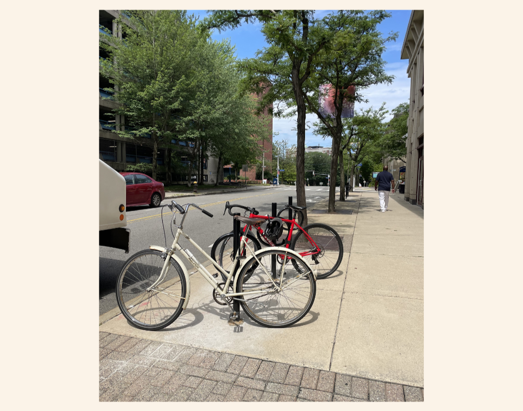 bike racks on longwood avenue