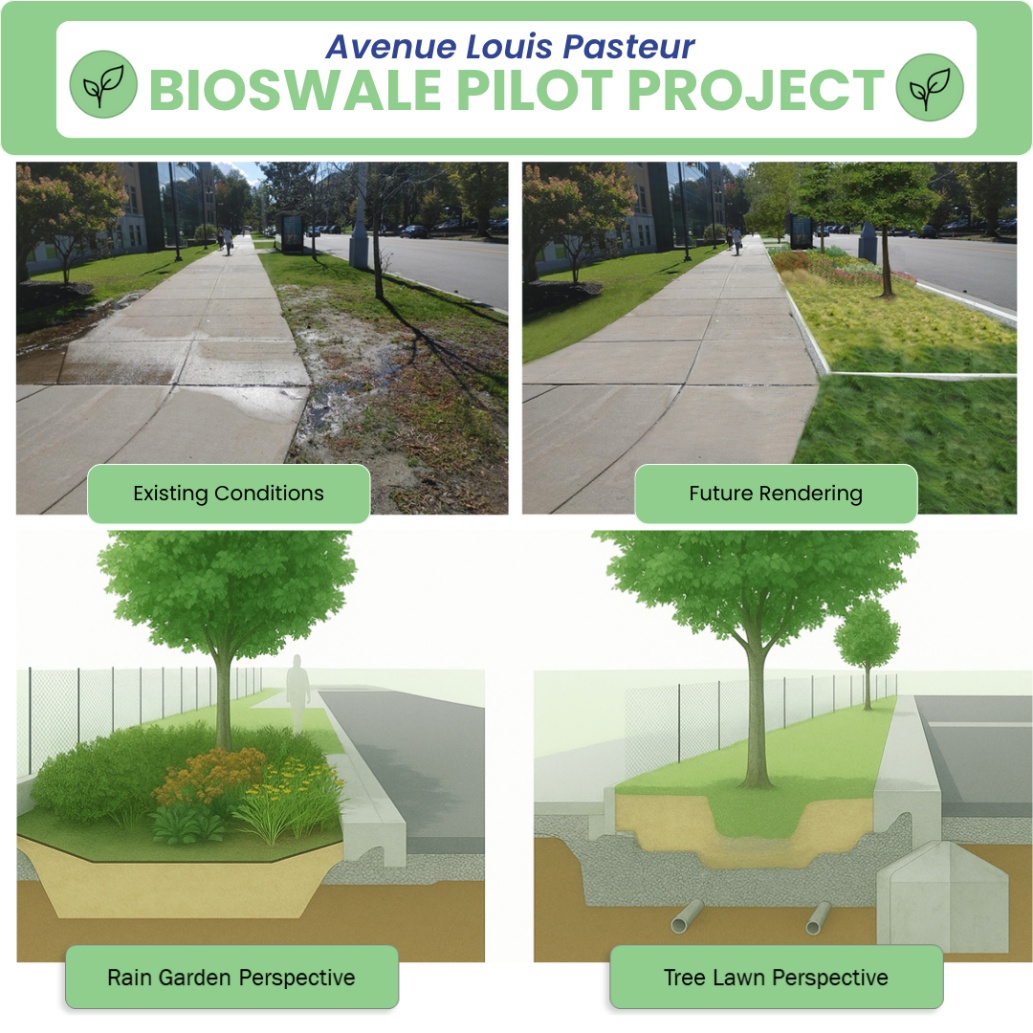 bioswale image